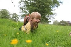 LittleLife Kleinkind-Daypack Animal, 2 Liter -Robens Store 145500 2jpg 3 407951