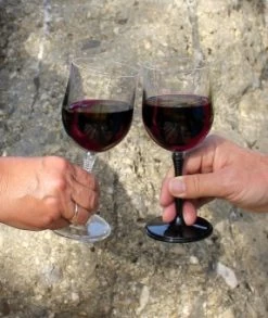 Basic Nature BasicNature Outdoor Weinglas -Robens Store BasicNature Outdoor Weinglas 4 404513