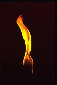 Basic Nature BasicNature Wachsfackeln 6 Basic Nature BasicNature Wachsfackeln – Bild 4