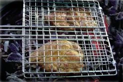 Coghlans Handgrill Broiler