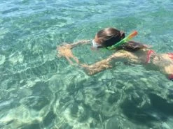 Schildkröt Schildkroet Schnorchel Set Junior Bermuda -Robens Store Schildkroet Schnorchel Set Junior Bermuda 4 409480