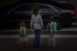 Wheel Bee LED Rucksack 15 Wheel Bee LED Rucksack -Robens Store Wheel Bee LED Rucksack 7 407901